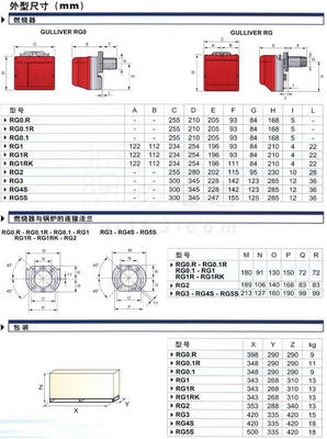 利雅路单段火系列轻油燃烧器RG5S_供应产品_安庆林胜热能设备销售